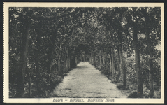 16818 Gezicht in de berceaux in het Baarnsche Bos te Baarn.